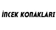 İzamax Yapı